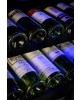 Wine Cell'R Black Pearl Wine Cellar 46 Bottles 2 zones WC46FGDZ5 Wine & Passion