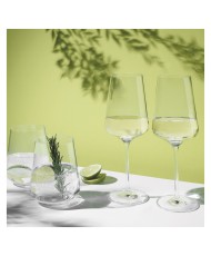 Set of 12 White Wine Glasses Ritzenhoff 6111001