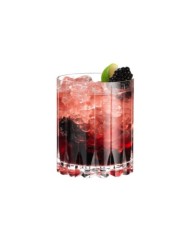 Riedel - Collection Bar | Verre Double Rocks