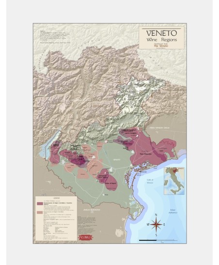 Vineyard Map Region of Veneto