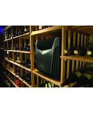 Wall Unit "Wine Guardian"