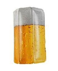 Cooler bag for beer