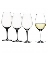 Set of 4 "Authentis" White Wine Glasses
