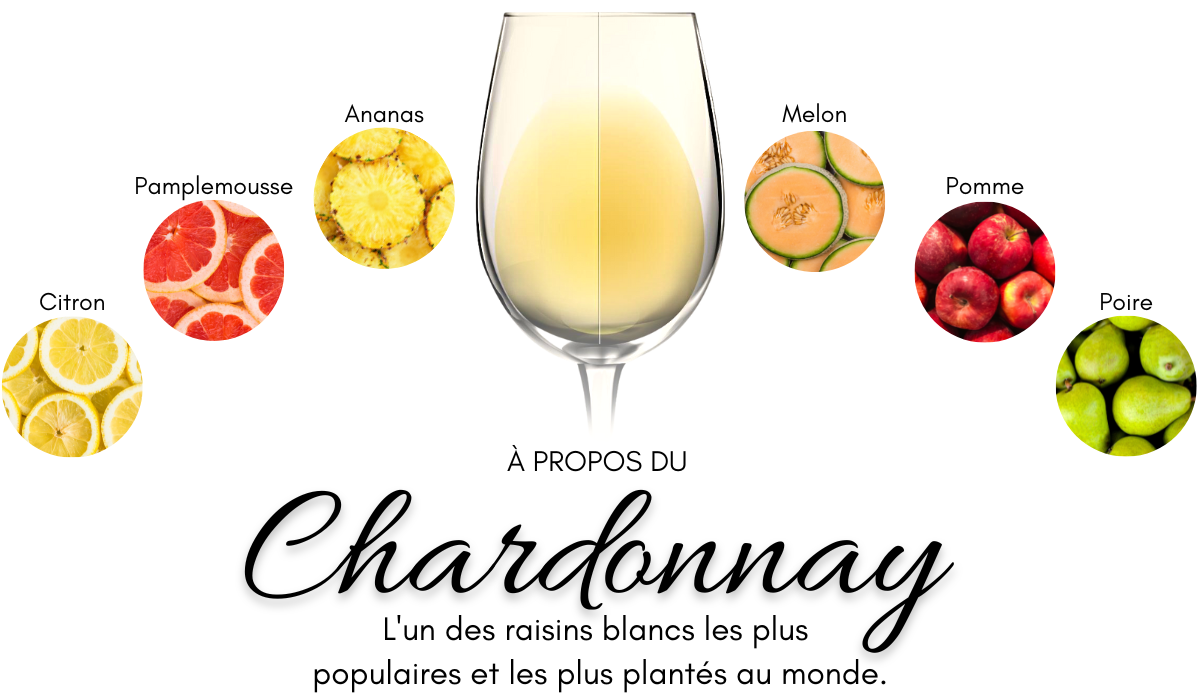 Le Chardonnay et ses arômes : citron, pamplemousse, ananas, melon, pomme et poire