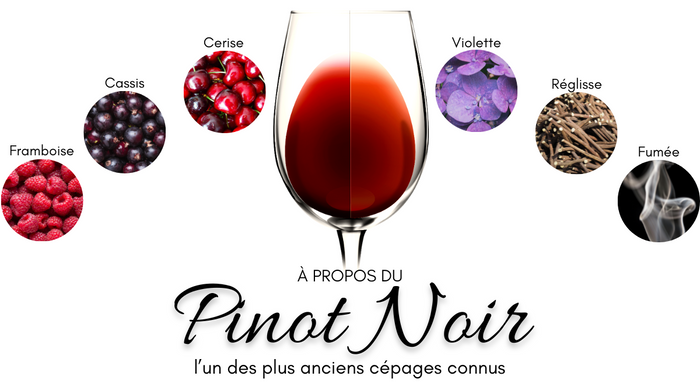 Do you know your grape varieties: Pinot Noir