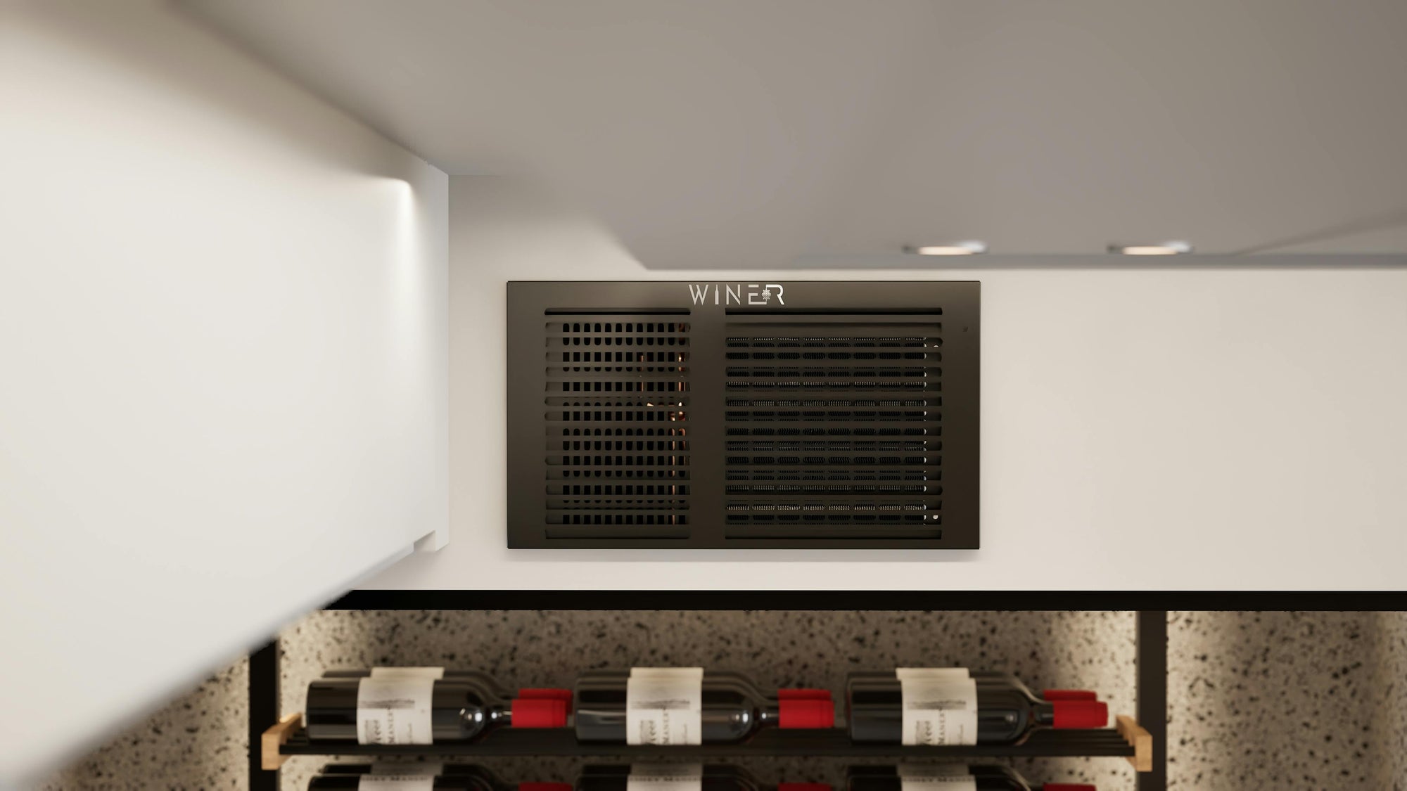 Ambiance Wine-R cellar ambiance