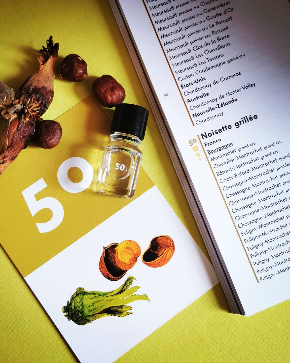 Le Nez du Vin | White Wines & Champagnes 12 Aromas