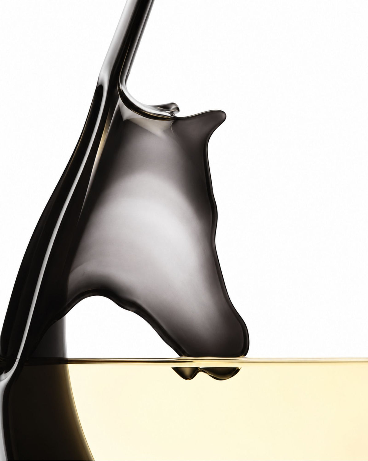 Carafe à Vin Riedel | Cheval
