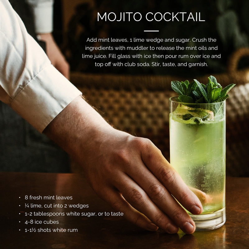 Mojito Glass & Muddler Set - Glass & Wood / Giftbox