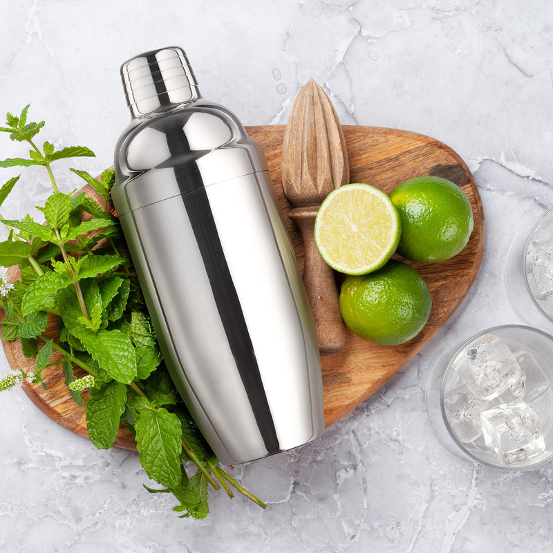Double Wall Stainless Steel Cocktail Shaker - Stainless Steel / Stainless Steel / Giftbox