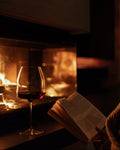 Riedel Syrah Glass | Wine Wings Series