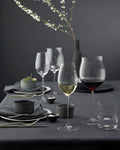 Verre à Sauvignon Blanc Riedel Superleggero