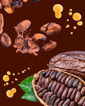 Amer au Cacao | Angostura