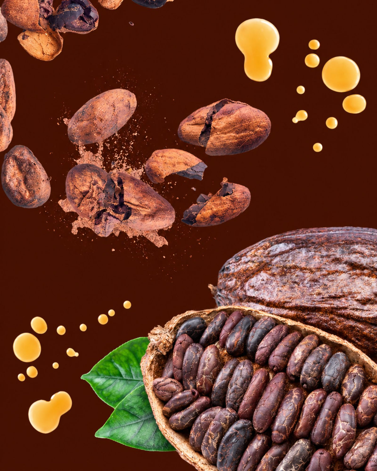 Amer au Cacao | Angostura