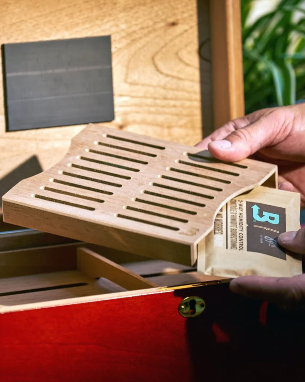 Supports en Cèdre pour Humidor | Boveda