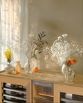 EuroCave Harmonie DHALLCPV - light oak body, light oak niche, glass door