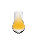 Verre Riedel - Superleggero | Spiritueux
