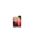 Riedel - Collection Bar | Verre Double Rocks
