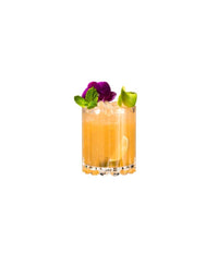 Riedel - Bar Collection | Double Rocks Glass