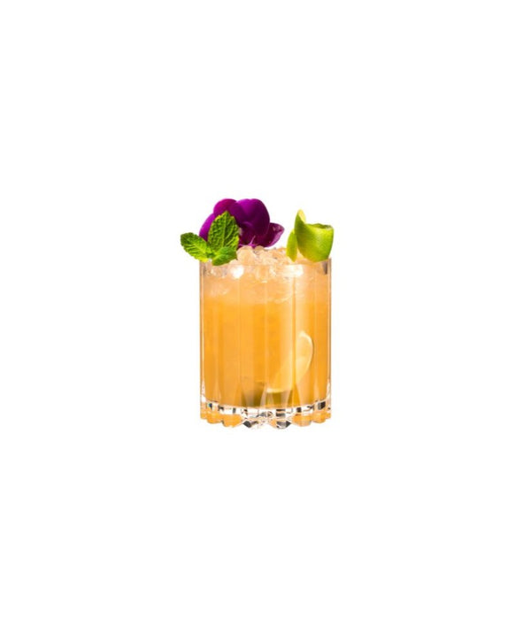 Riedel - Bar Collection | Double Rocks Glass