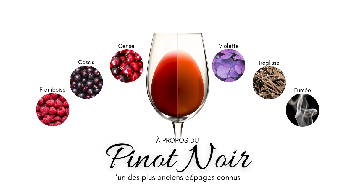 Pinot Noir