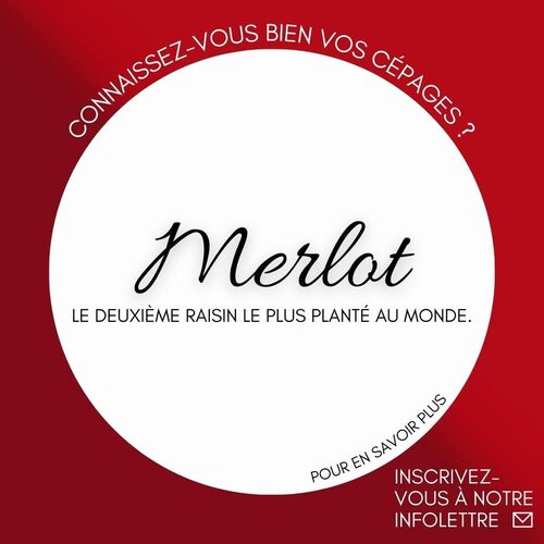 instagram-2 Connaissez-vous bien vos cépages ?
 
Inscrivez-vous à notre infolettre et venez découvrir le Merlot, le 2e raisin le plus planté au monde ! 
(Lien dans la bio)

#vin #cvbvc #Merlot #vinrouge #été #amoureuxduvin #winelovers #vinetpassion #passionduvin